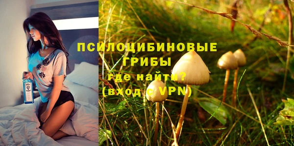 спайс Приозерск