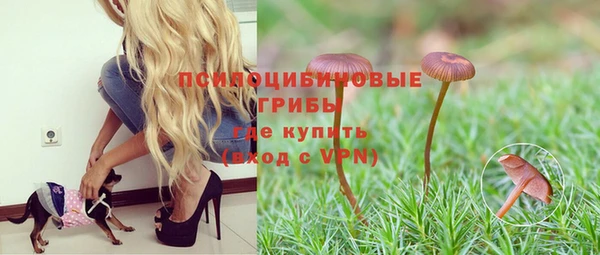 спайс Приозерск
