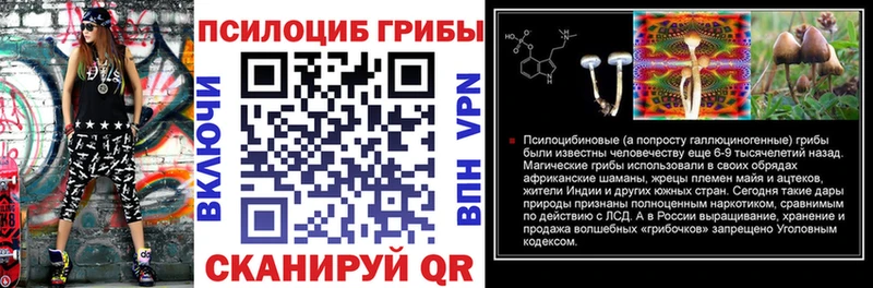 Галлюциногенные грибы GOLDEN TEACHER  Купить закладки  Таштагол 